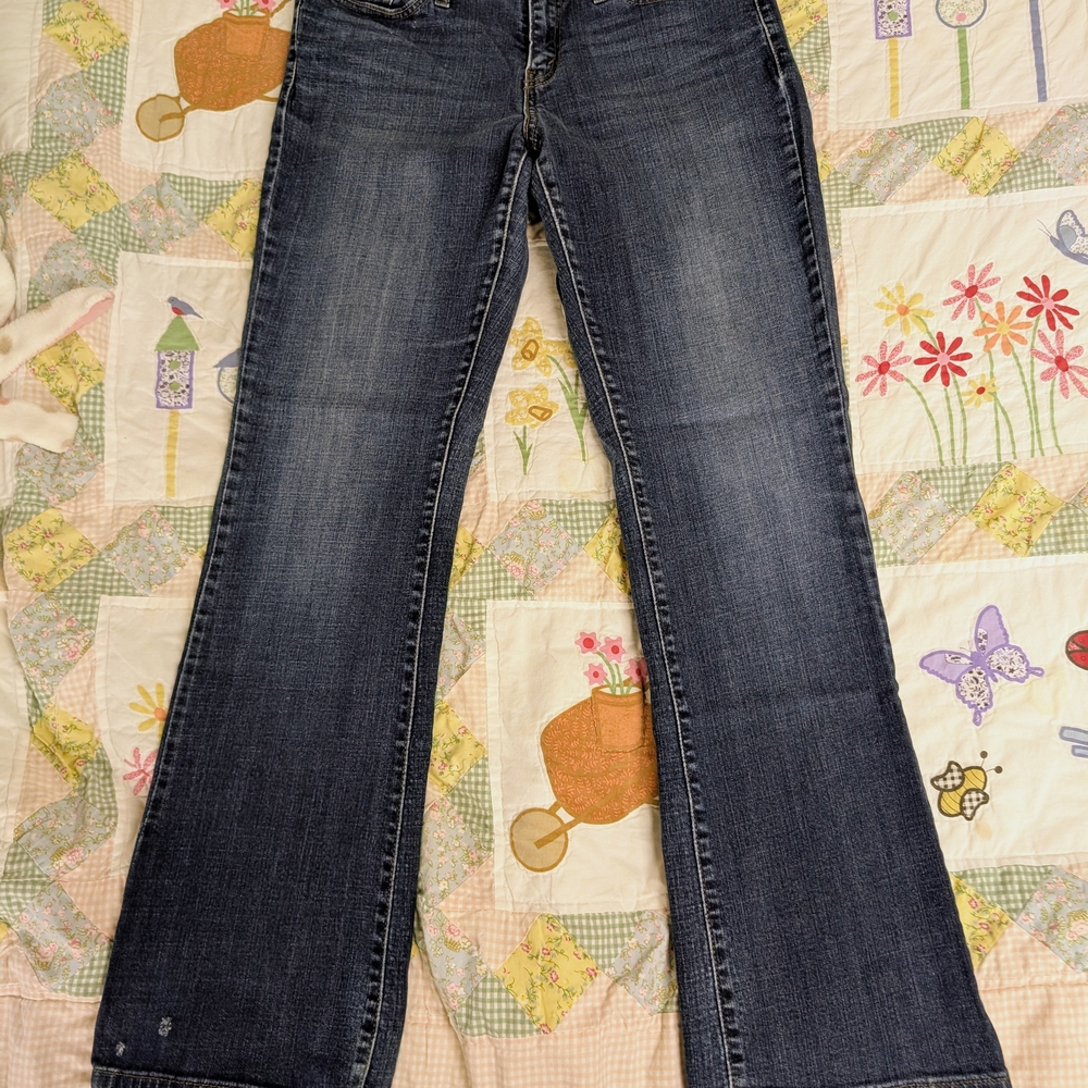 Levi's Women's Blue Jeans